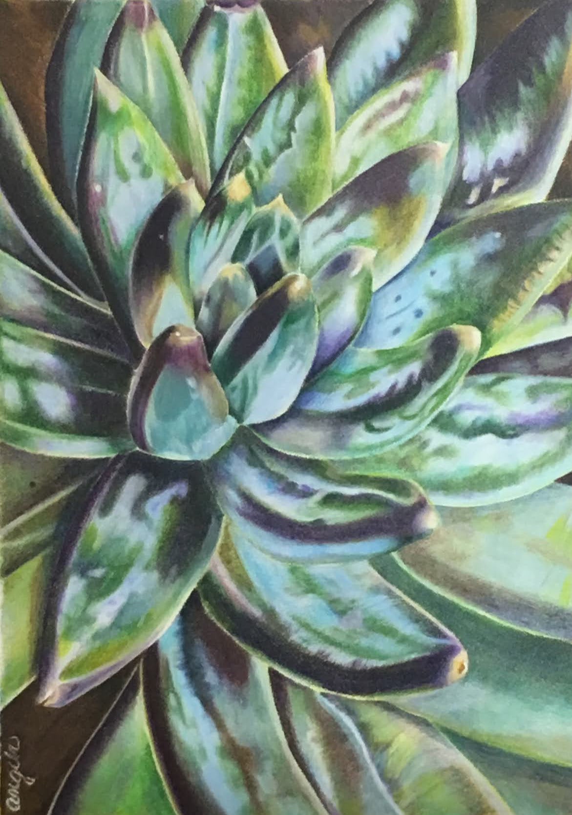 Succulent